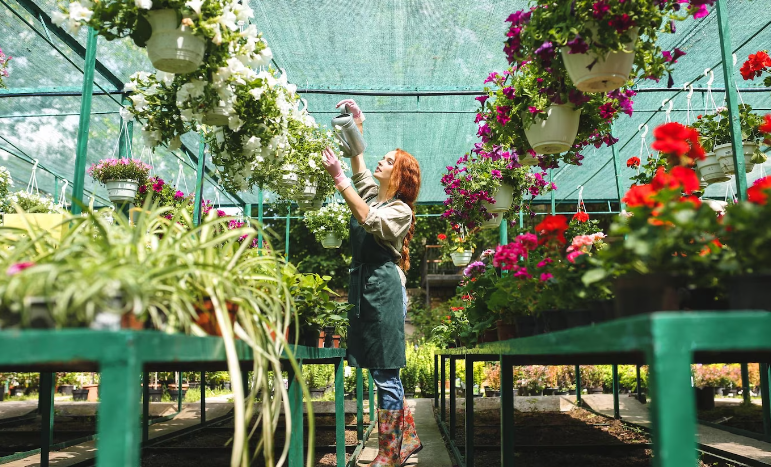 Culturas Hortícolas e Florícolas em Portugal: Uma Janela para a Diversidade