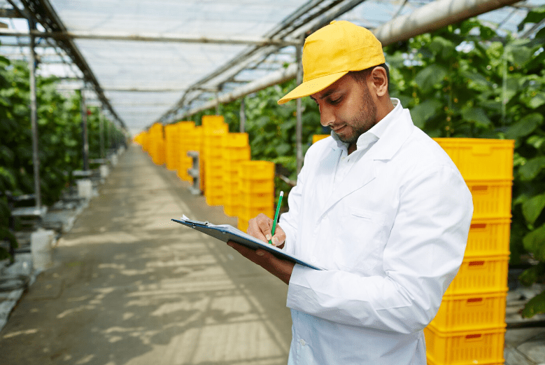 A Importância dos Auditores Internos BRC Food e IFS Food para a Qualidade Alimentar