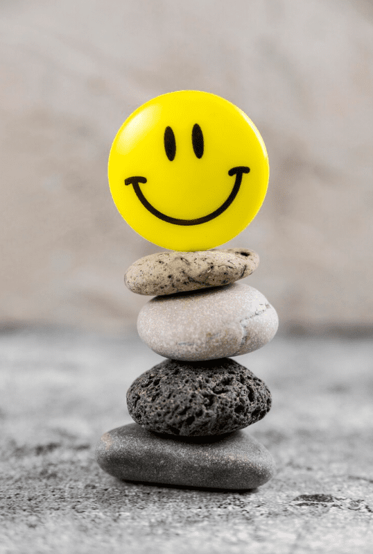 A Inteligência Emocional e a sua importância na integração no mercado de trabalho e vida pessoal