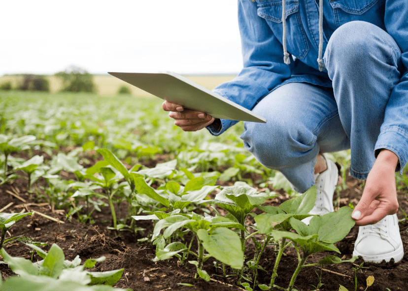 Da Terra à Mesa: Como a Formação Agrícola Está a Mudar o Futuro do Setor