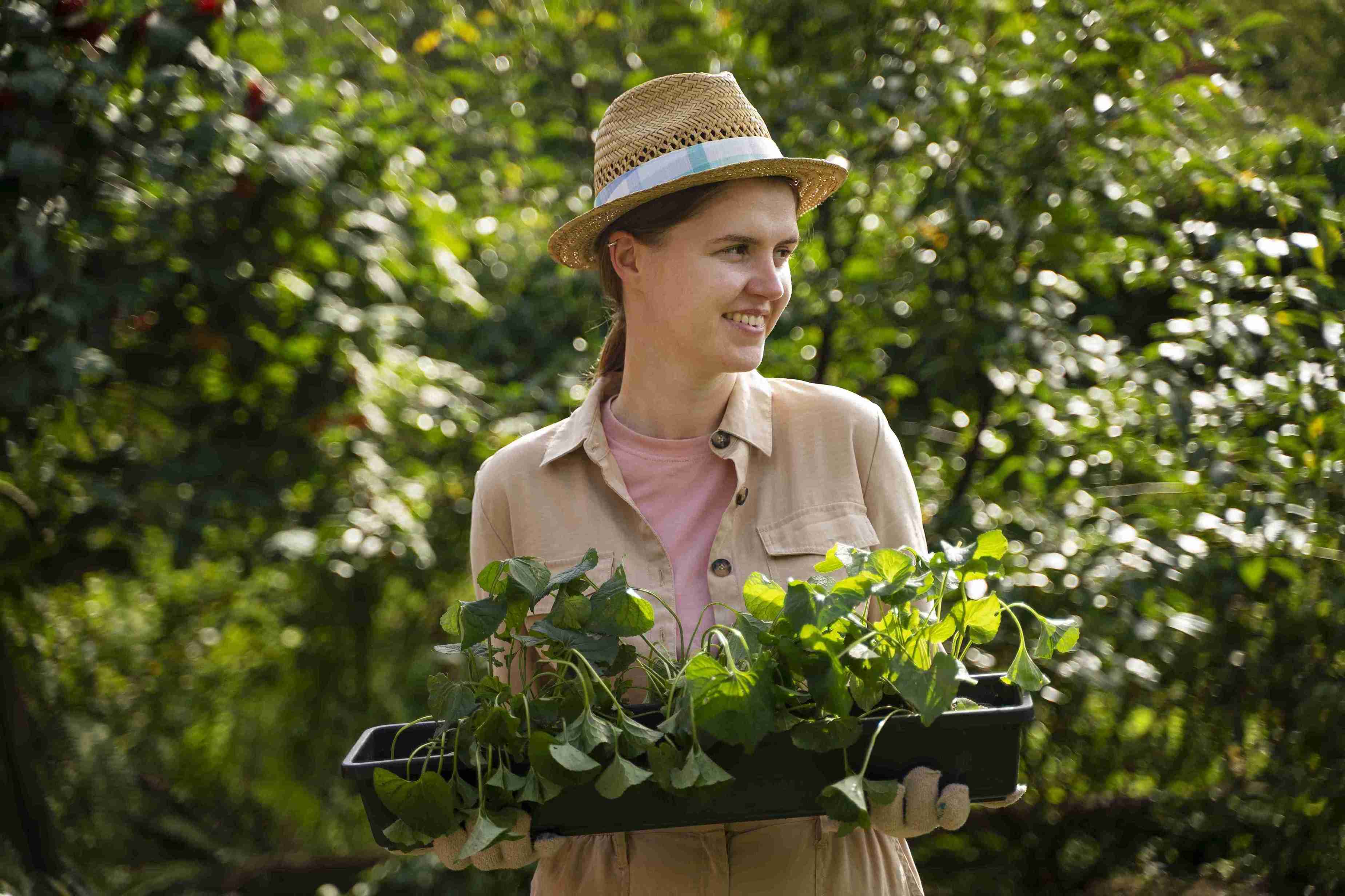 Agricultura sustentável: produzir hoje sem comprometer o amanhã
