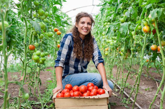 1ª Edição do curso de Agricultura Sustentável (UFCD 7580)