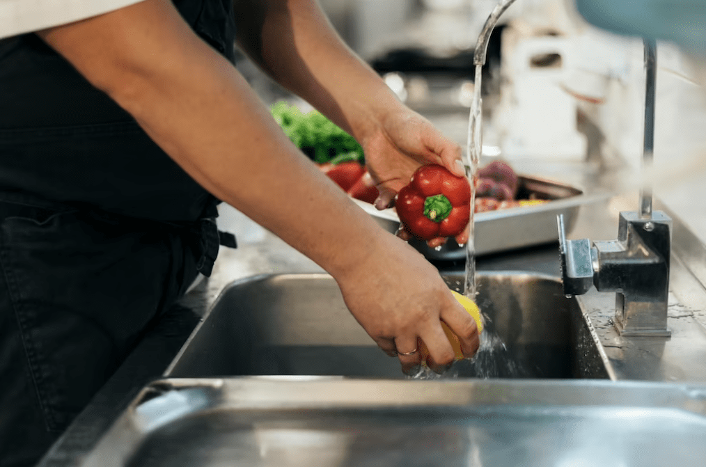 Higiene e Segurança Alimentar - HACCP