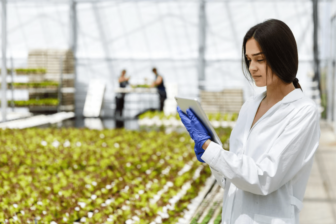 Implementação e Auditorias ao Sistema de Gestão da Segurança Alimentar - ISO 22000:2018