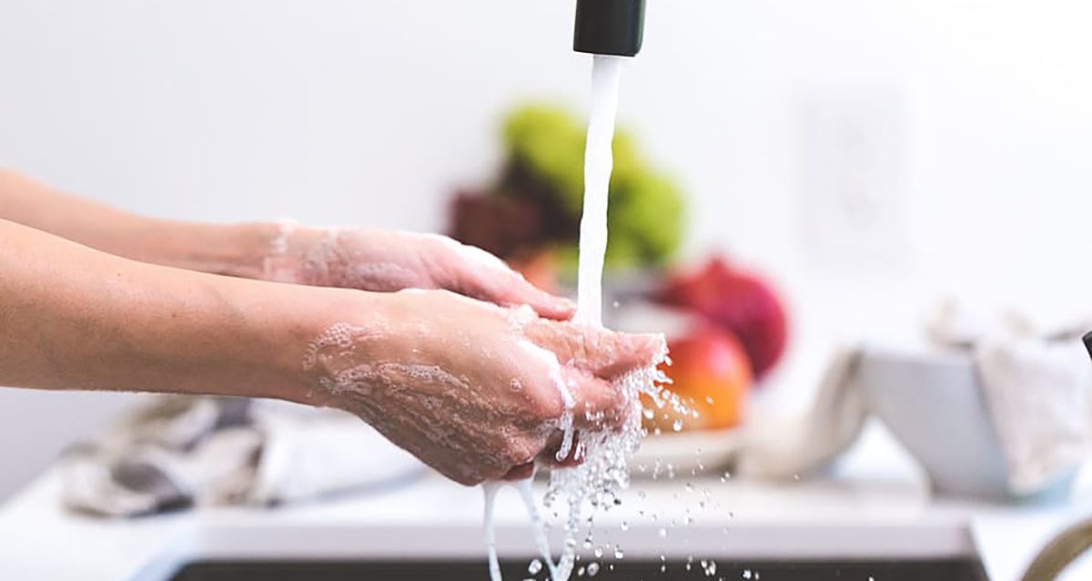 Higiene e Segurança Alimentar HACCP